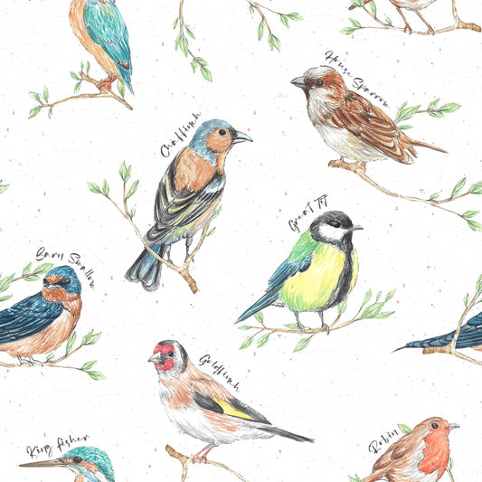 OS Pocket Diaper - Feathered Friends